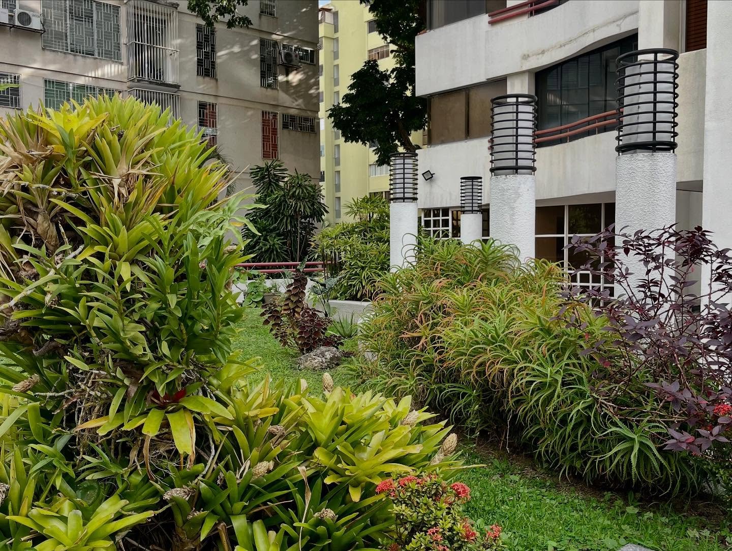 Apartamento en alquiler en Los Palos Grandes — foto 1